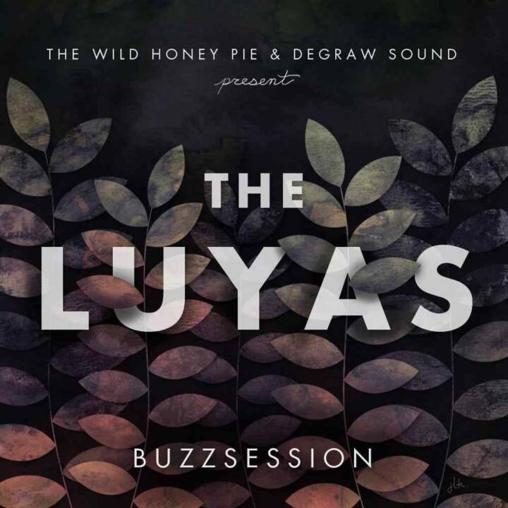 The Luyas